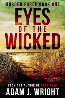 Eyes of the Wicked Read online