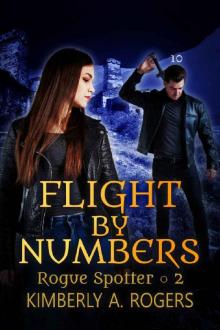 Flight by Numbers Read online