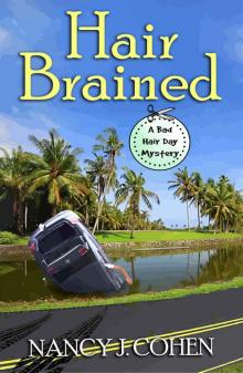 Hair Brained (The Bad Hair Day Mysteries Book 14) Read online