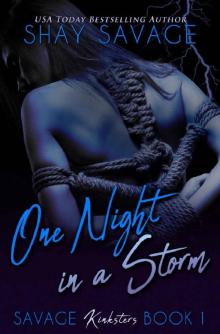 One Night in a Storm: Savage Kinksters Book 1 Read online