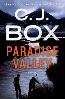 Paradise Valley Read online