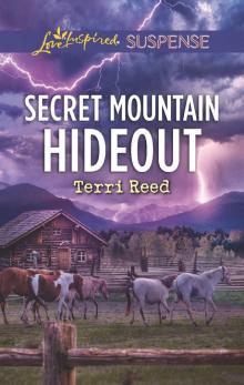 Secret Mountain Hideout Read online