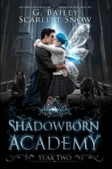 Shadowborn Academy: Year Two (Dark Fae Academy Series Book 2)