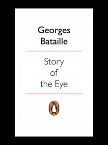 Story of the Eye Read online