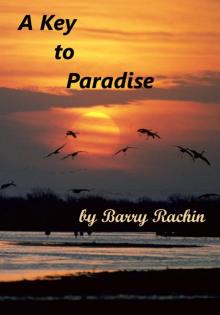 A Key to Paradise Read online