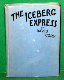 The Iceberg Express Read online