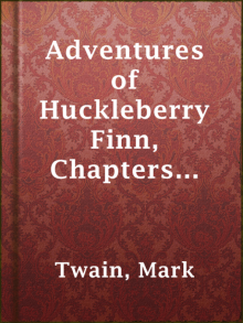 Adventures of Huckleberry Finn, Chapters 16 to 20