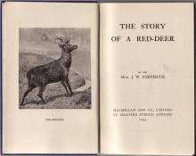 The Story of a Red Deer Read online