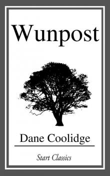 Wunpost Read online