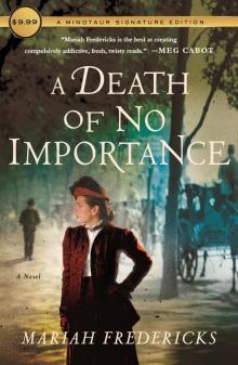 A Death of No Importance--A Novel Read online