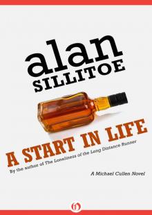 A Start in Life Read online