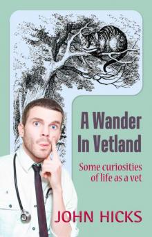 A Wander in Vetland Read online