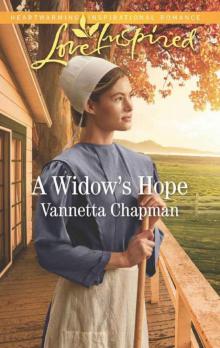 A Widow's Hope (Indiana Amish Brides Book 1) Read online