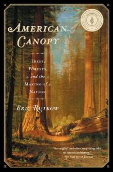 American Canopy Read online