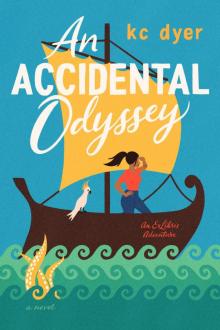 An Accidental Odyssey Read online