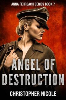 Angel of Destruction Read online
