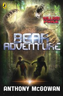 Bear Adventure Read online