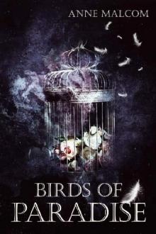 Birds of Paradise Read online