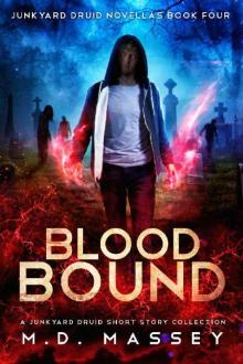 Blood Bound: A Junkyard Druid Urban Fantasy Short Story Collection (Junkyard Druid Novellas Book 4) Read online