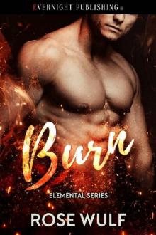 Burn (Elemental Series Book 4) Read online