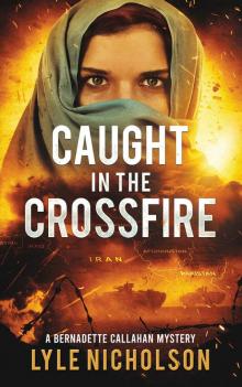 Caught In The Crossfire: A Bernadette Callahan Mystery Read online