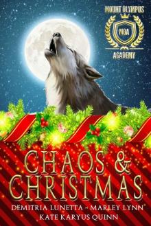 Chaos & Christmas Read online