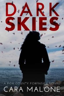 Dark Skies: A Fox County Forensics Lesbian Romantic Suspense Read online