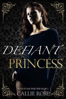 Defiant Princess: A Reverse Harem High School Bully Romance (Boys of Oak Park Prep Book 2) Read online