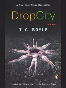 Drop City Read online