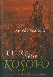 Elegy for Kosovo Read online