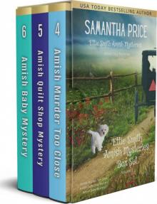 Ettie Smith Amish Mysteries Box Set 2 Read online