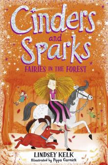 Fairies in the Forest Read online