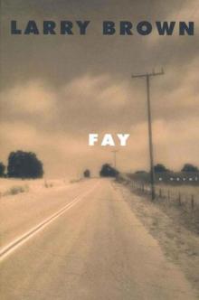 Fay: A Novel Read online