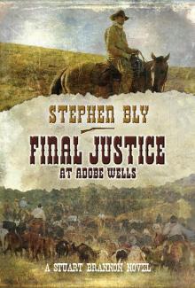 Final Justice at Adobe Wells Read online