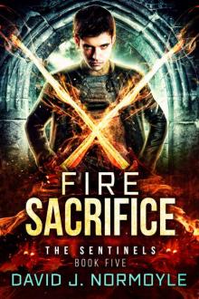 Fire Sacrifice Read online