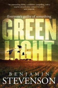 Greenlight Read online