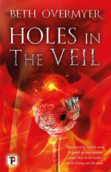Holes in the Veil Read online