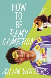 How to Be Remy Cameron Read online