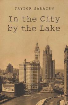 In the City by the Lake Read online