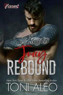 Juicy Rebound (IceCats Book 1) Read online