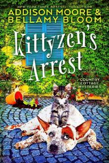 Kittyzen's Arrest