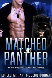 Matched To His Panther Read online