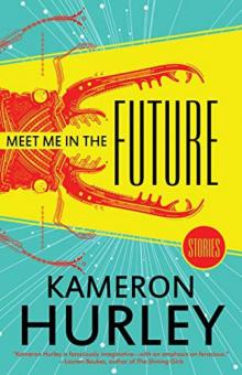 Meet Me in the Future Read online