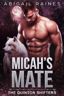 Micah's Mate Read online