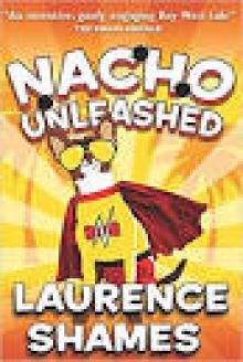 Nacho Unleashed Read online