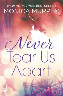 Never Tear Us Apart (Never Tear Us Apart #1) Read online