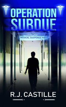 Operation Subdue Read online