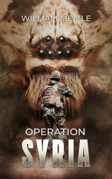 Operation Syria Read online