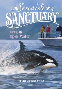 Orca in Open Water Read online