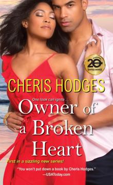 Owner of a Broken Heart Read online